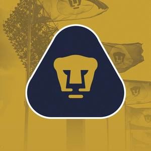 Meet your Posher, Nicolas